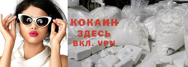 spice Богородицк