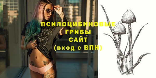 spice Богородицк