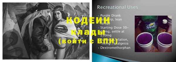 spice Богородицк