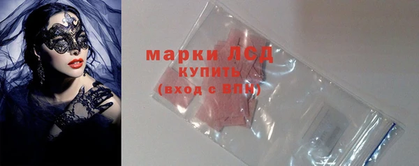 spice Богородицк