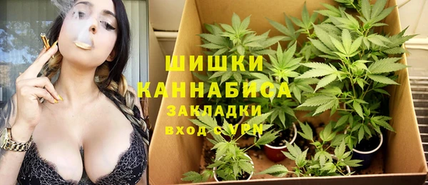 spice Богородицк