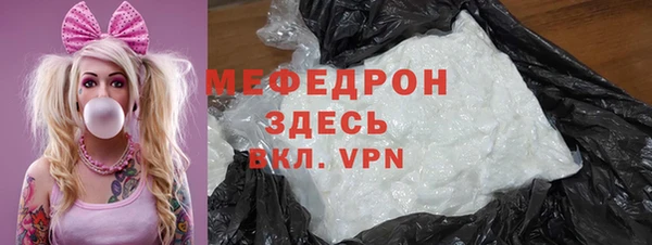 spice Богородицк